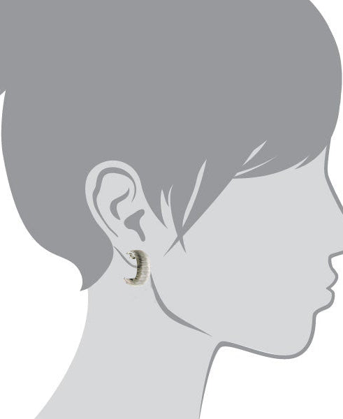 1928 Jewelry Silver Hoop Brushed Finish Earrings