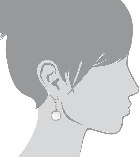 2028 Jewelry Clear Crystal Glass Drop Earrings