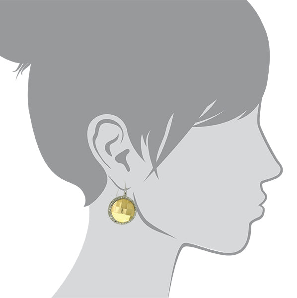 1928 Jewelry Fusion Lux Stone Round Euro Drop Earrings