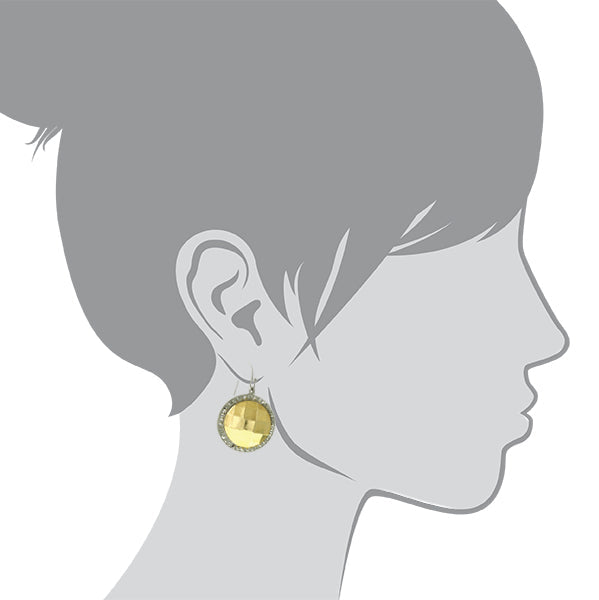 1928 Jewelry Fusion Lux Stone Round Euro Drop Earrings