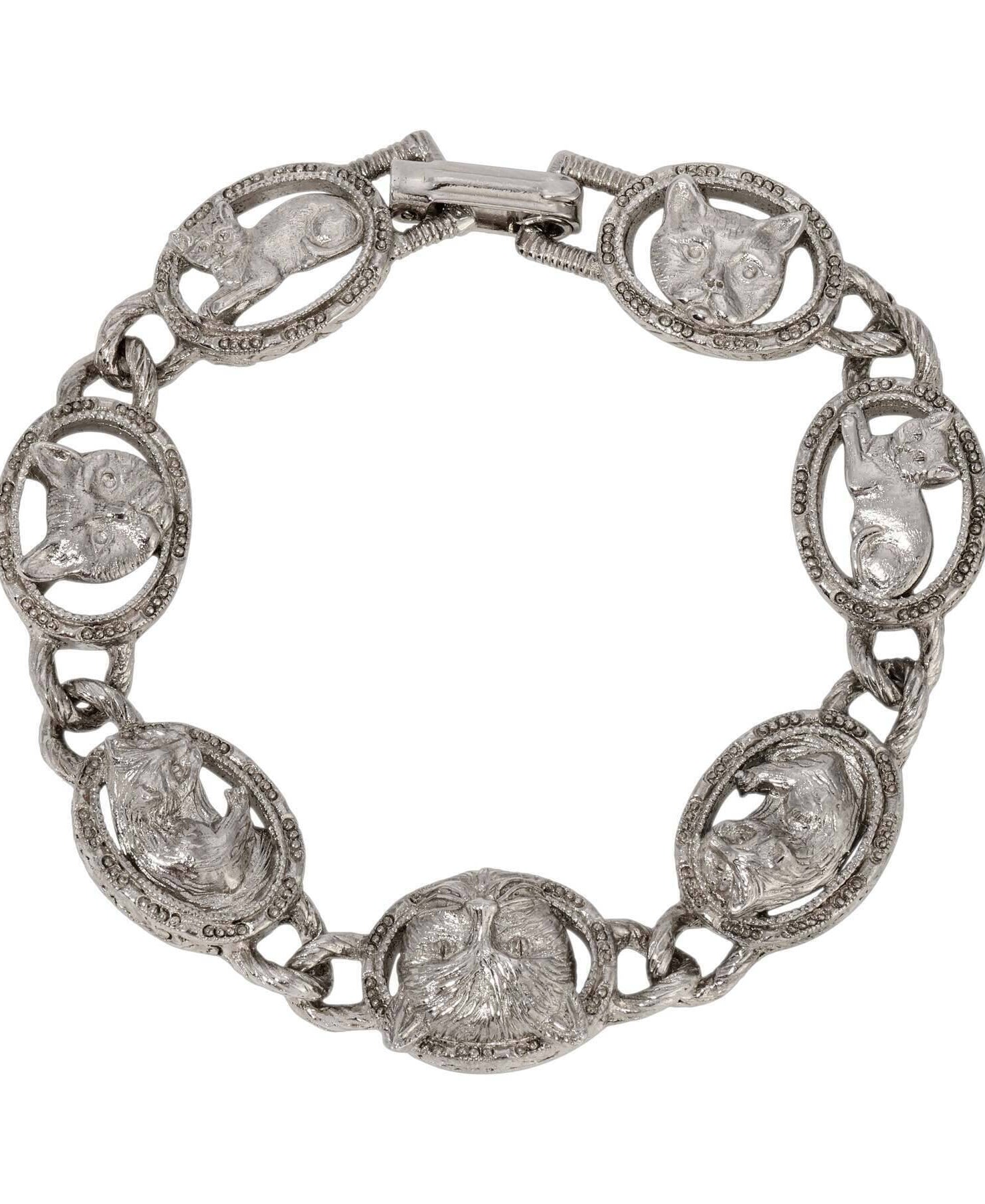 1928 Jewelry Whiskers Link Bracelet