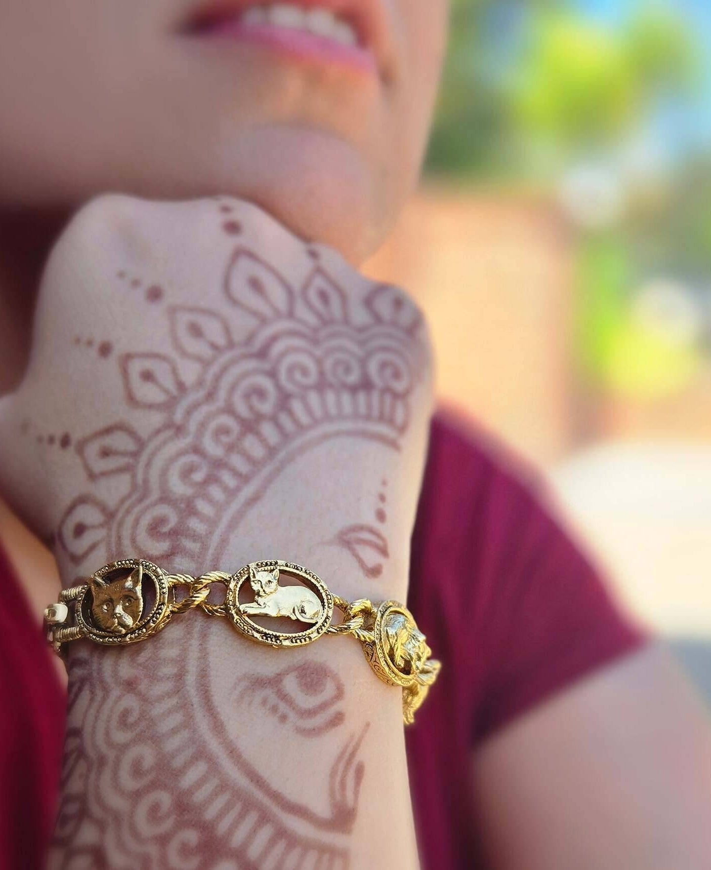 1928 Jewelry Whiskers Link Bracelet