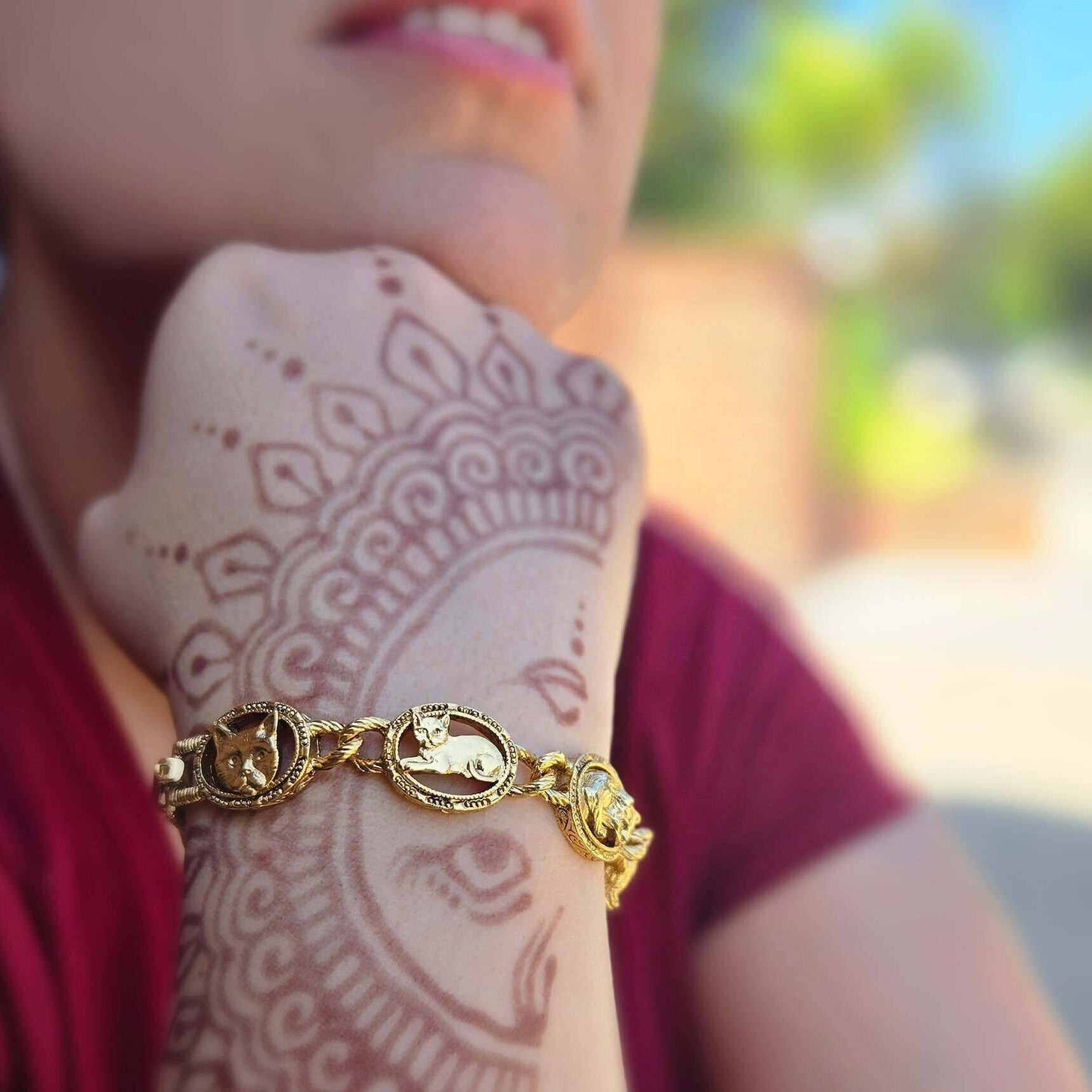 1928 Jewelry Whiskers Link Bracelet