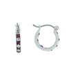 2028 Jewelry Round Crystal Hinged Latch Hoop Earrings