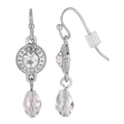 2028 Jewelry Multi Crystal Drop Fish Hook Earrings