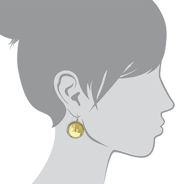 1928 Jewelry Fusion Lux Stone Round Euro Drop Earrings